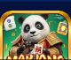 Panda Fortune
